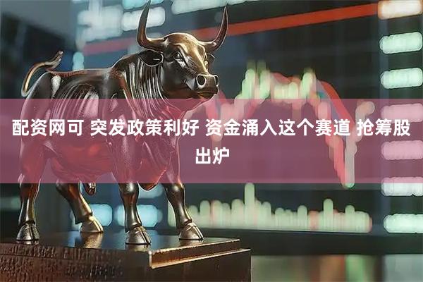 配资网可 突发政策利好 资金涌入这个赛道 抢筹股出炉